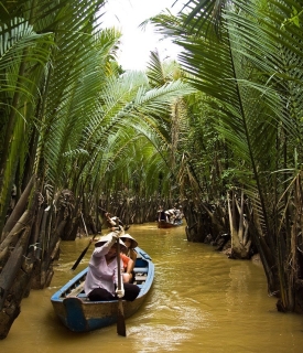 S5. Day Trip To MeKong Delta