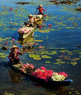  Grand Vietnam Tour With 07 UNESCO World Heritage Sites